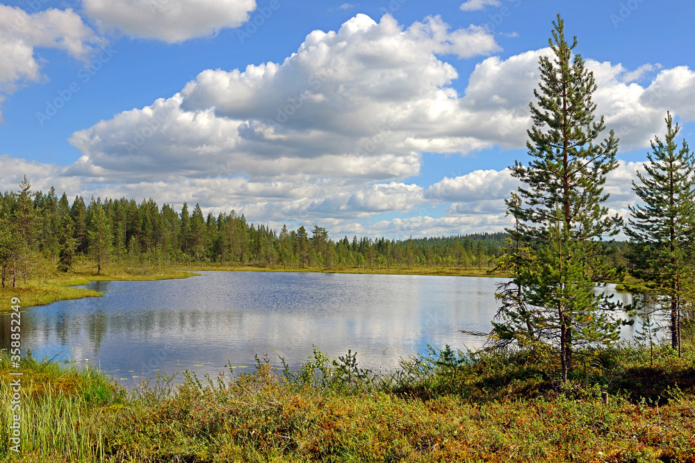 Summer landscape with northen forest lake. Finnish Lapland, Suomi
