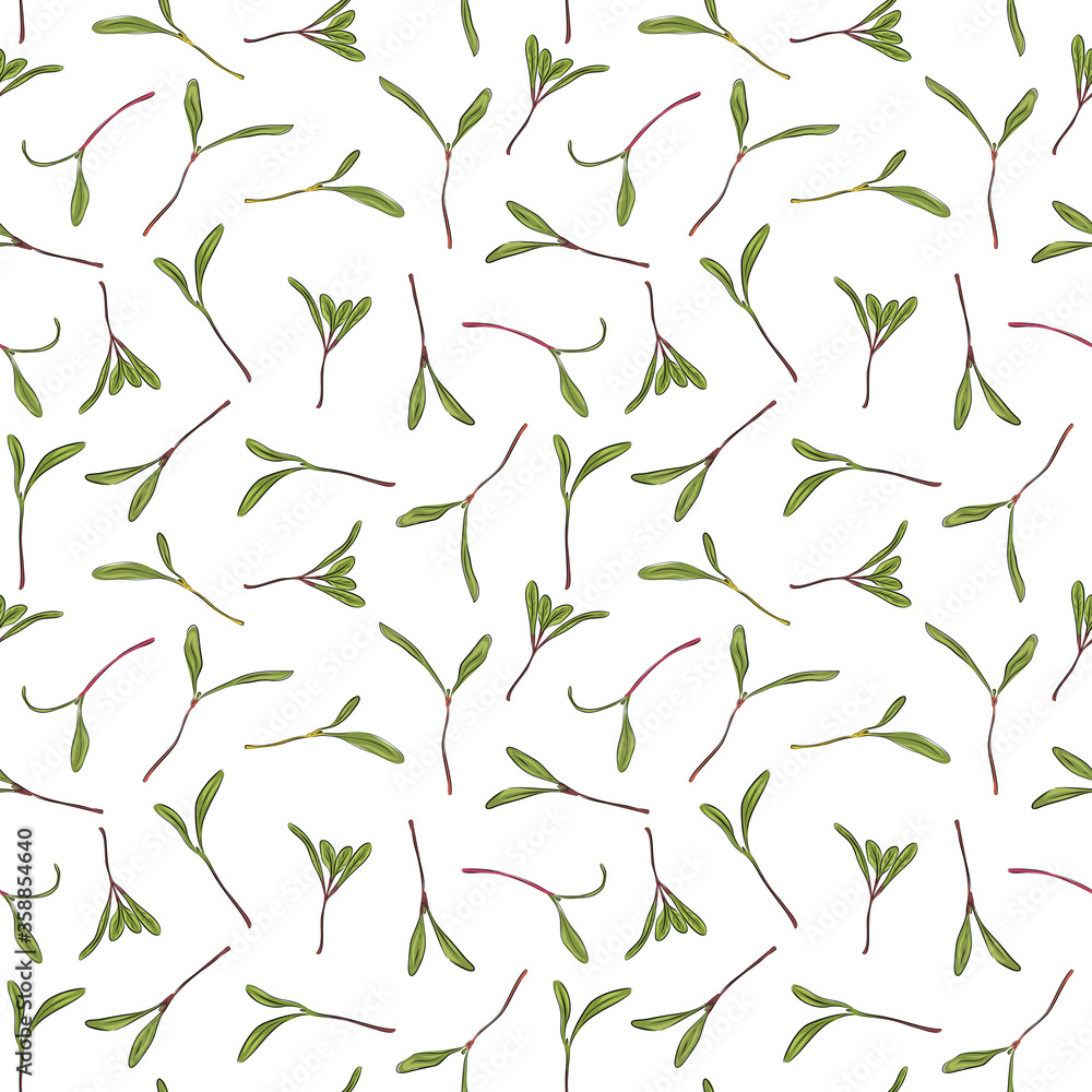 Seamless pattern. Hand drawn rainbow chard micro greens. chard. Vector illustration in sketch style on white background. Vitamin supplement, vegan food. Seamless pattern. Hand drawn rainbow chard micro greens. chard. Vector illustration in sketch style on white background. Vitamin supplement, vegan food.