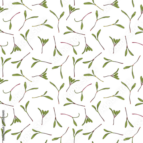 Seamless pattern. Hand drawn rainbow chard micro greens. chard. Vector illustration in sketch style on white background. Vitamin supplement, vegan food.