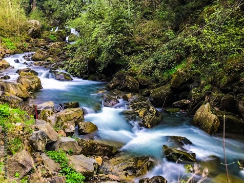 Forest waterfall mountain river