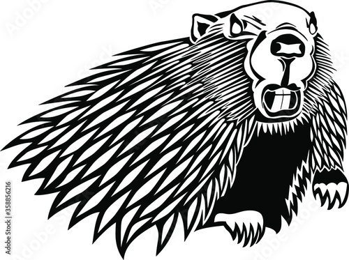 Vector illustration of a fierce beaver in black and white. Stylized team mascot. Angry beaver showing teeth.