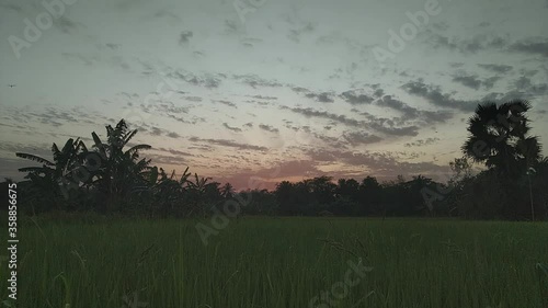 Awesome Golden Clouds Floating in the Blue Sky Beautiful Sunset Timelapse