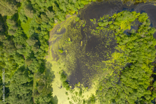 Aerial high angle view of swamp in deep forest, Moscow area, Russia