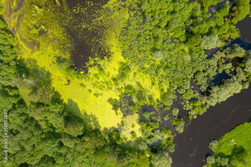 Wallpaper Mural Aerial high angle view of swamp in deep forest, Moscow area, Russia Torontodigital.ca