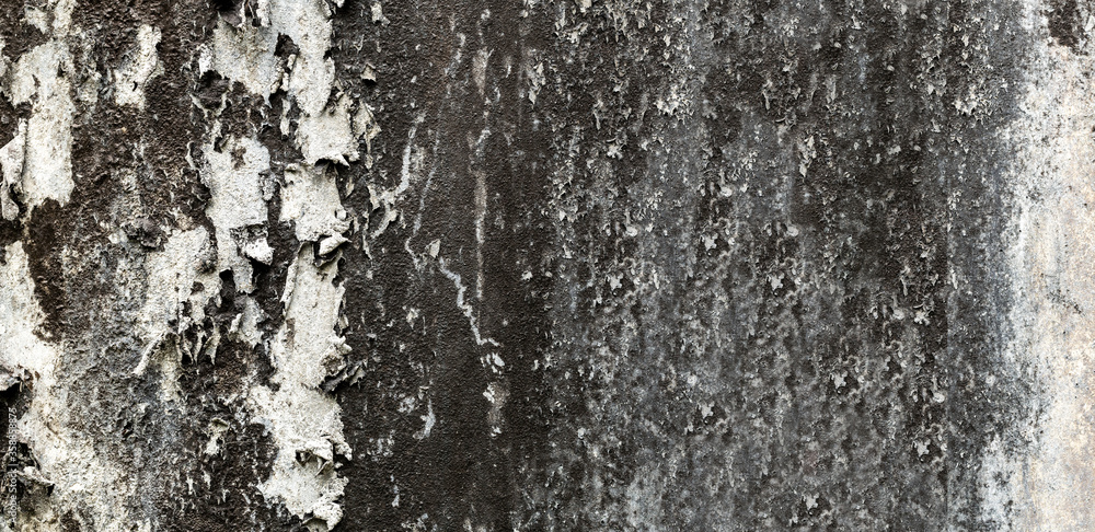 Fototapeta premium Peeling paint on old wall. Panoramic pattern of rustic grunge material background