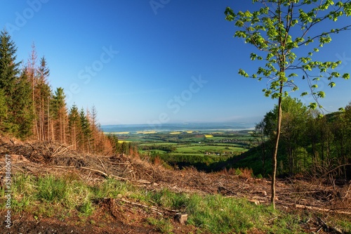 View of the landscape through the felled forest over the bark beetle. Hostyn Hills. East Moravia. Czechia. Europe.