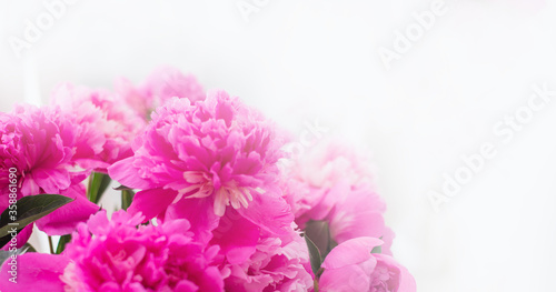 Background with pink peonies. Flower card