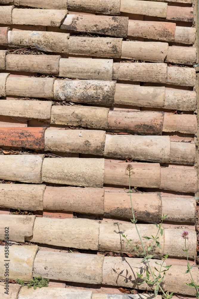 Detail of terracotta roof tiles Detail of terracotta roof tiles