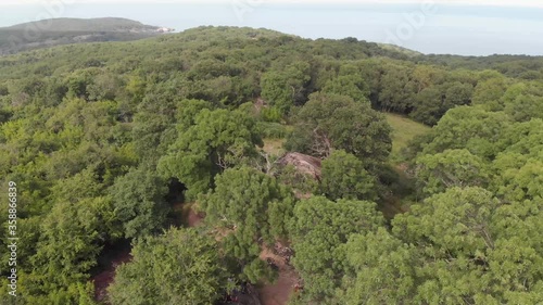 Shooting from the drone. The forest and rocky formations of unusual shape on top of a hill 
located on the seashore.