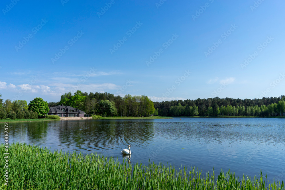 Calm lake in Druskininkai park, Lithuania Calm lake in Druskininkai park, Lithuania