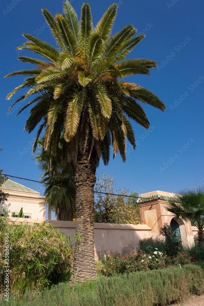 Fototapeta premium Menara Gardens and lake in Marrakech