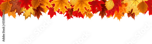 Autumn Seamless Border with Falling Autumn Leaves. Vector Illustration