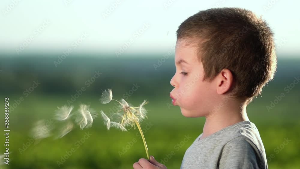 Boy blowing on big dandelion or salsify at sunset Boy blowing on big dandelion or salsify at sunset