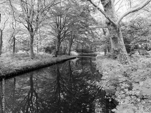 Gaasperplas park in Amsterdam, The Netherlands photo