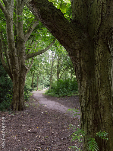 Gaasperplas park in Amsterdam  The Netherlands