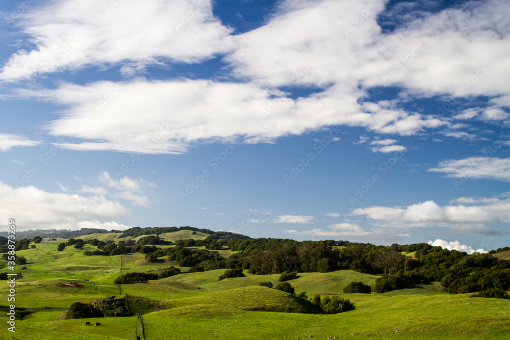 Wide Open - Clouds and bright green rolling hills are pumped up by rains. Napa County, California, USA
