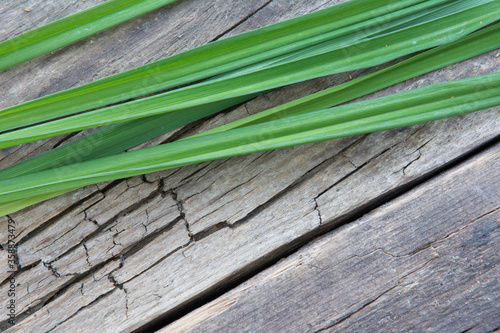 Green grass on a background of old wooden board