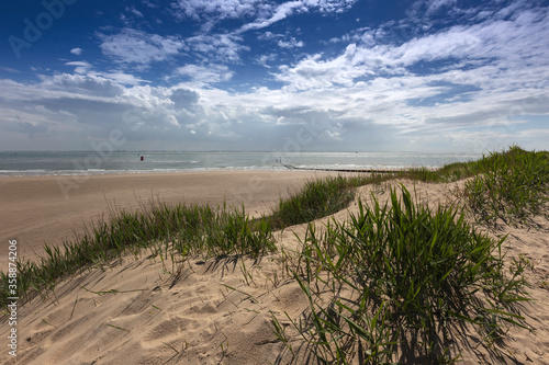 Vlissingen - Badstrand beach, a sand dune overgrown with grass sloping to the sea. To the right a wooden breakwater leading to the sea. Beautiful blue sky with white clouds. © Jana Krizova