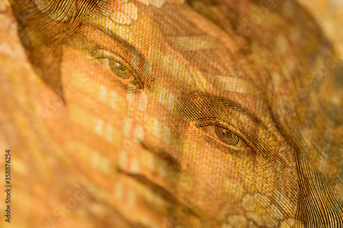 Macro detail of security features in the Norwegian 500 kroner banknote. The 500 bill (1999) portrays Sigrid Undset, Nobel Prize in literature in 1927. photo