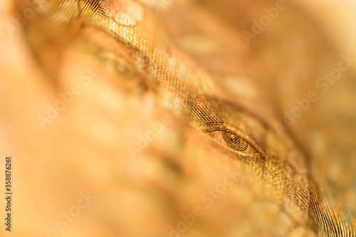 Macro detail of security features in the Norwegian 500 kroner banknote. The 500 bill (1999) portrays Sigrid Undset, Nobel Prize in literature in 1927. photo