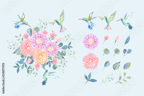 Water color red, blue and orange Dahlia with green Hummingbird botanical bouquet style with isolated arrangement set on blue background illustration vector. Suitable for wedding design elements.
