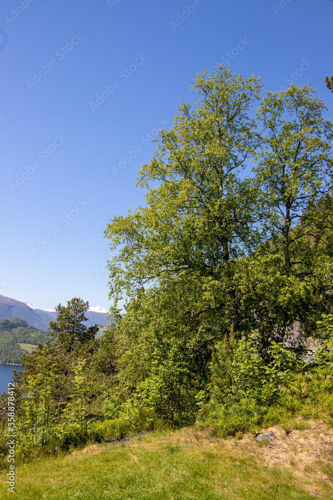 norway, nature, landscape, mountain, travel, tourism, water, blue, sky, beautiful, summer, scenery, scandinavia, europe, north, outdoor, sea, scenic, view, norwegian, fjord, lake, panorama, nordic, oc norway, nature, landscape, mountain, travel, tourism, water, blue, sky, beautiful, summer, scenery, scandinavia, europe, north, outdoor, sea, scenic, view, norwegian, fjord, lake, panorama, nordic, oc