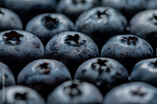 Blueberries closeup