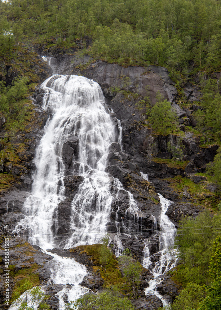 Fototapeta premium waterfall in the forest