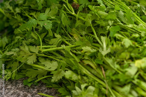 bio fresh green parsley leaves closeup