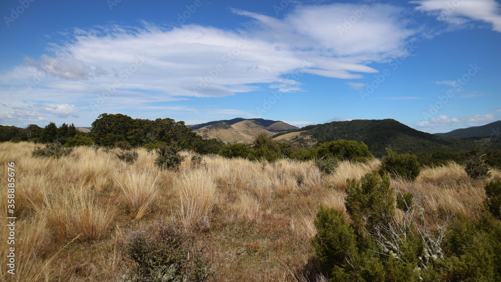 takitimu track view of sky