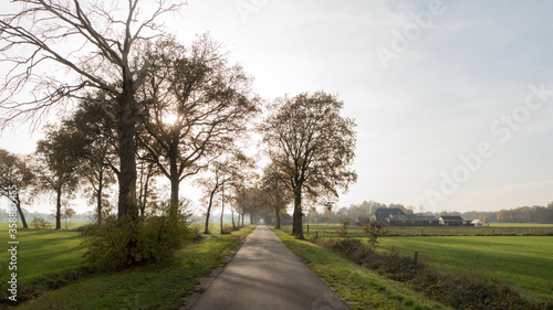 A road in the municipality of lochem