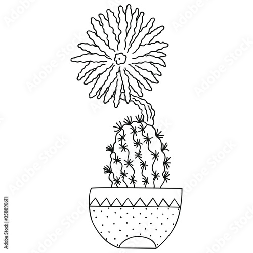 Black and white sediechinopsis mirabelis with a blossoming flower in a pot. Blooming cactus. Isolated botanical doodle for coloring page. Vector.
