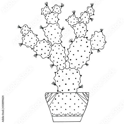 Black and white succulent Opuntia in a pot. Cactus with long spikes in the Scandinavian style. Tropical houseplant for coloring page. Vector.