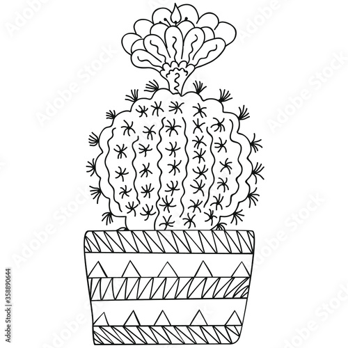 Black and white stylized flowering Parodia cactus with thorns and flower in a patterned pot. Vector. photo