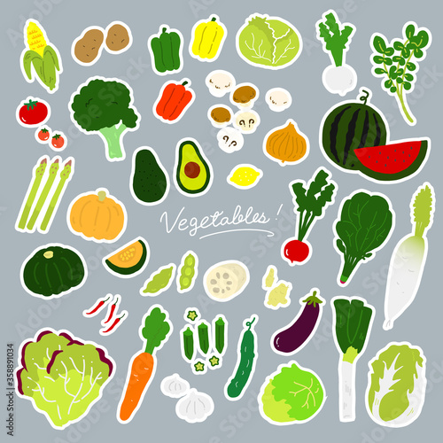 vegetables flat illustration vector icon