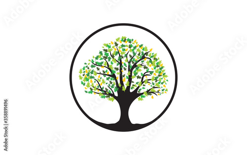 Creative tree logo round shape design vector