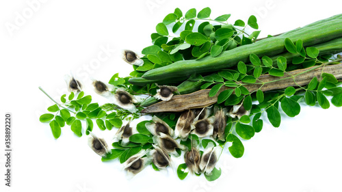 Moringa is a medicinal plant used for food and medicine.