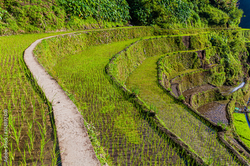 Ifugao rice terraces on Luzon island, Philippines