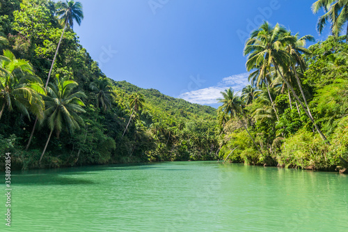 View of Loboc river on Bohol island, Philippines
