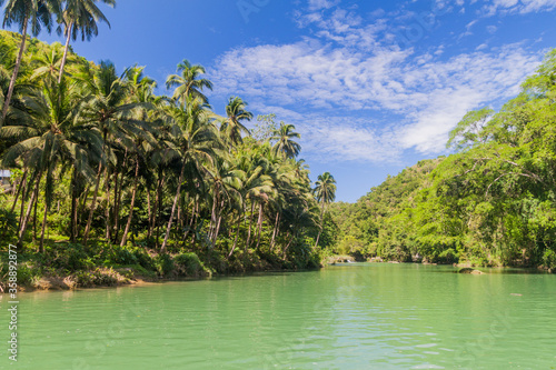 View of Loboc river on Bohol island  Philippines