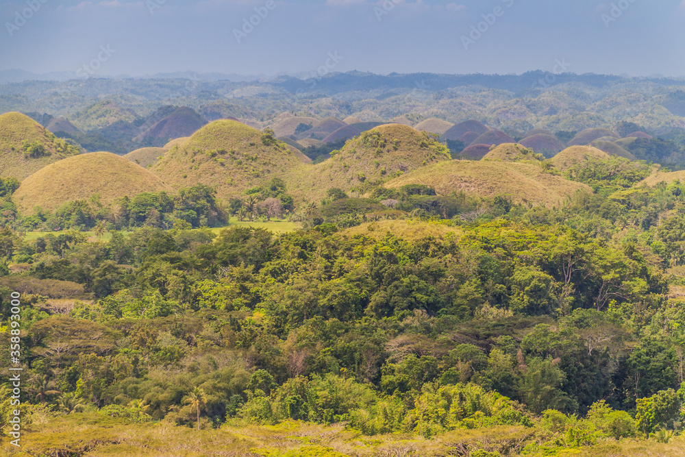 Geological formation The Chocolate Hills on Bohol island, Philippines