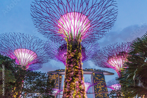 Supertree grove at night, Garden by the Bay, Singapore