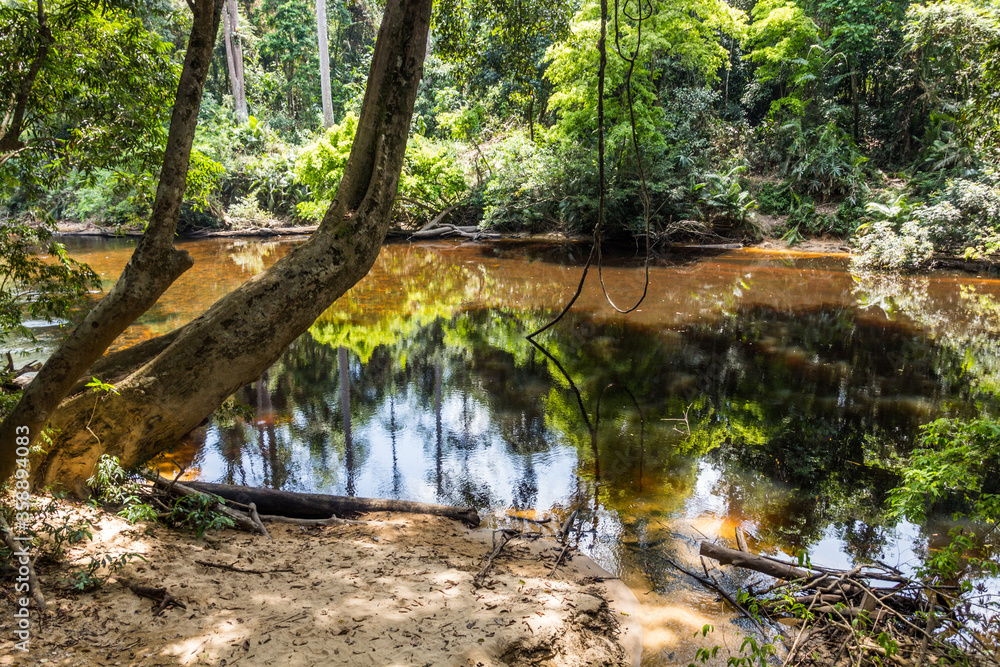 Tahan river in Taman Negara national park, Malaysia. Tahan river in Taman Negara national park, Malaysia.