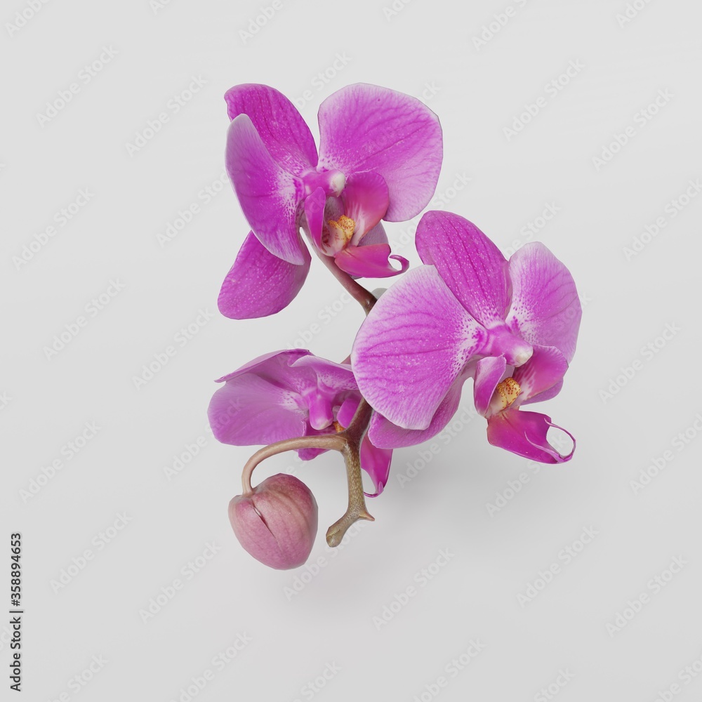 Obraz premium 3D orchid flower wallpaper