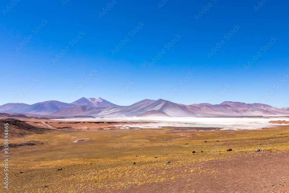 Atacama Desert, Chile. Salar Aguas Calientes. Lake Tuyacto.