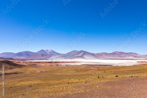 Atacama Desert  Chile. Salar Aguas Calientes. Lake Tuyacto.