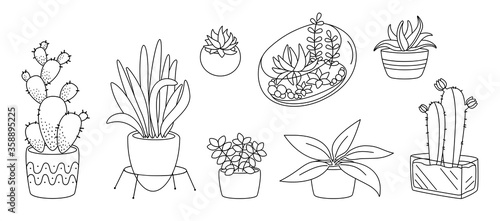 Plant and succulents, potted ceramic flat line set. Black linear cartoon house indoor flower. House plants, cactus, monstera flowerpot. Trendy home decor collection. Isolated vector illustration