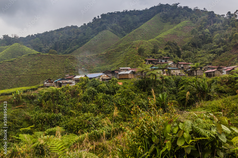 View of a small village in the tea plantations in the Cameron Highlands, Malaysia