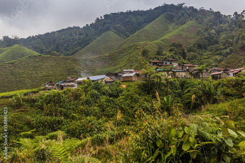 View of a small village in the tea plantations in the Cameron Highlands, Malaysia