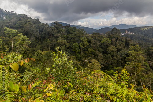Landscape of the Cameron Highlands, Malaysia